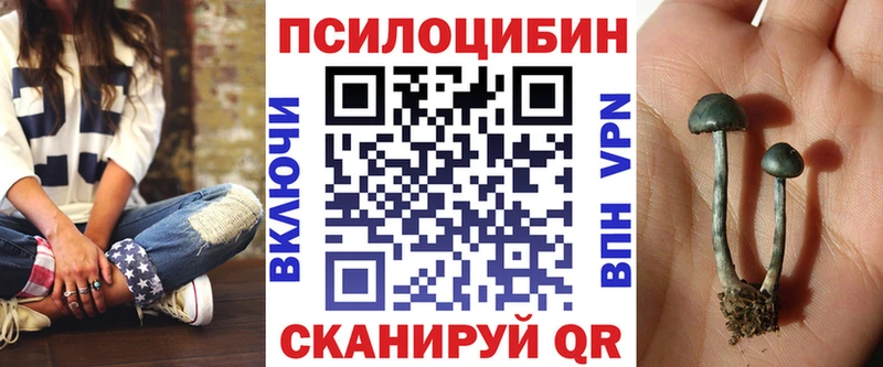 Псилоцибиновые грибы Psilocybine cubensis  Узловая 