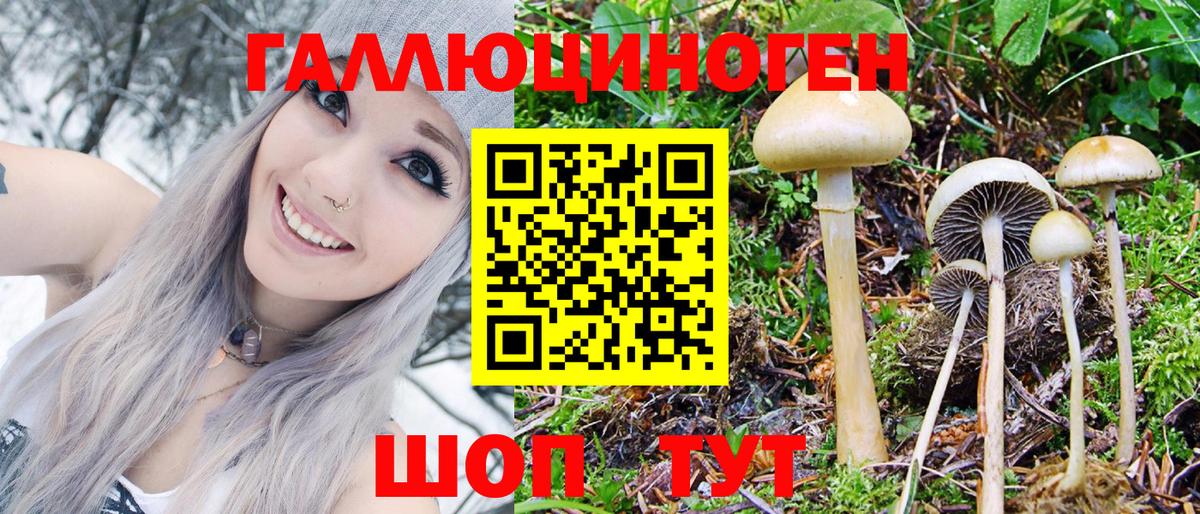 Узловая  Псилоцибиновые грибы Psilocybe  Вход с VPN  Галлюциногенные грибы MAGIC MUSHROOMS 