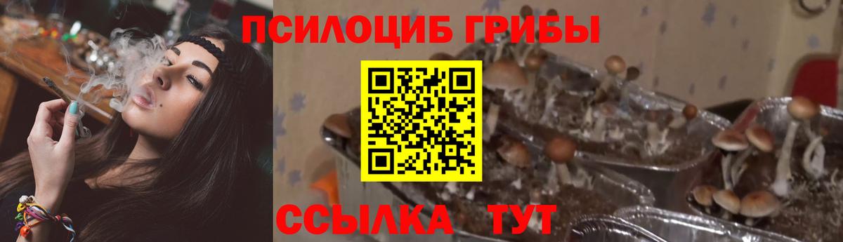 Псилоцибиновые грибы MAGIC MUSHROOMS Узловая