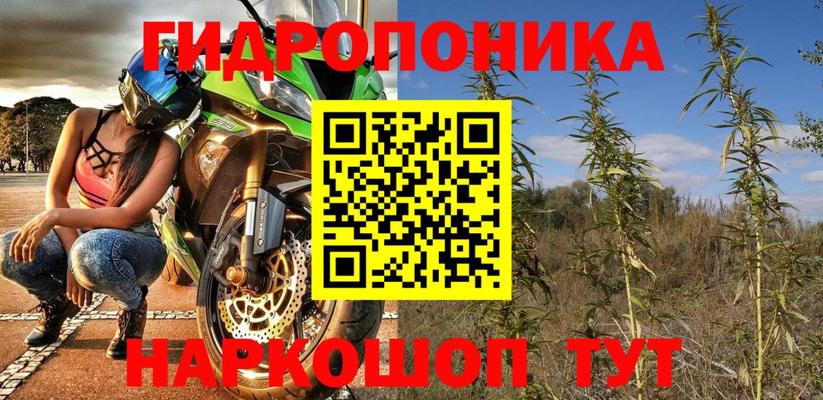 Конопля план Узловая